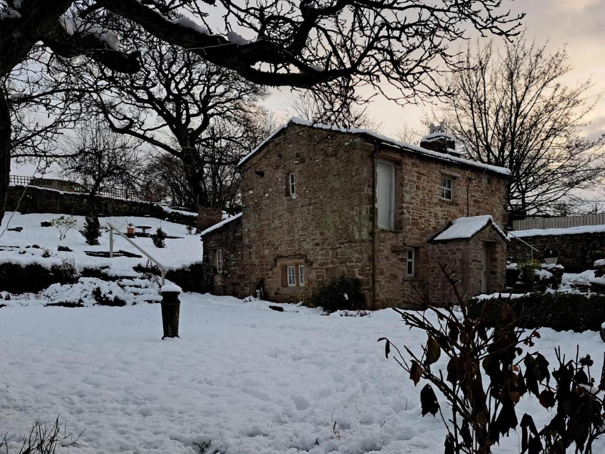 Ferienhaus Beebole
