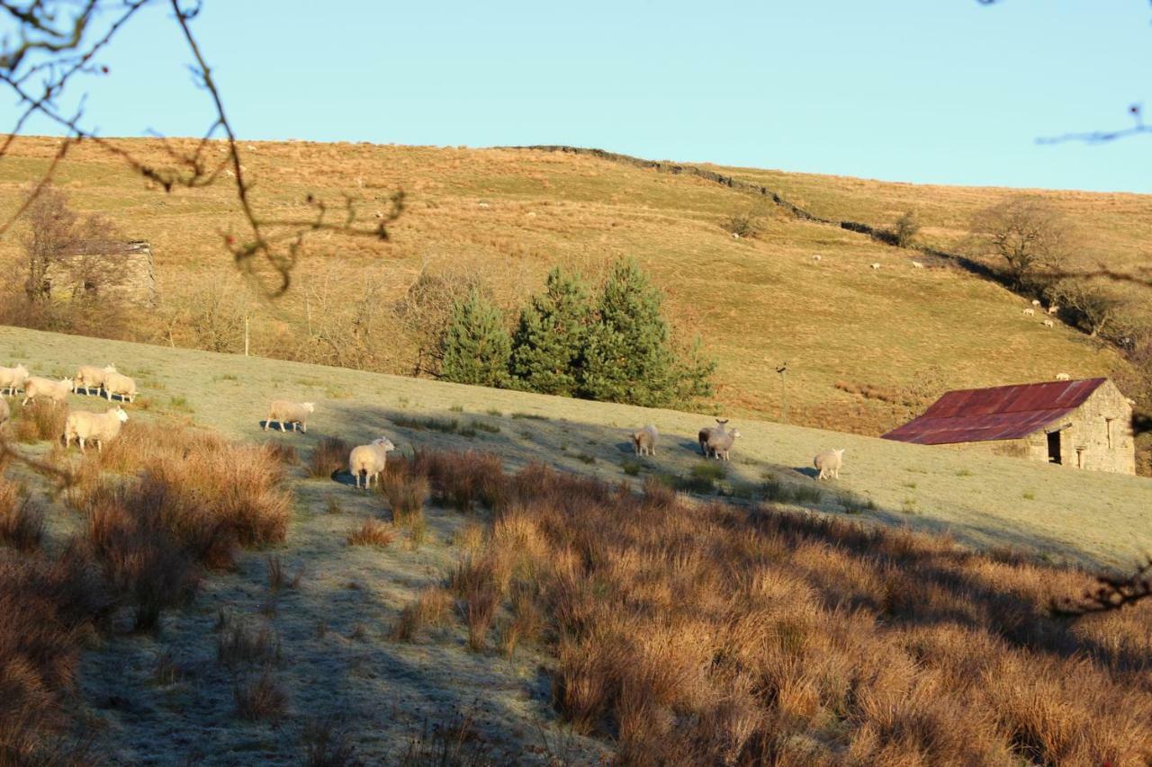 Ferienhaus Beebole Askrigg